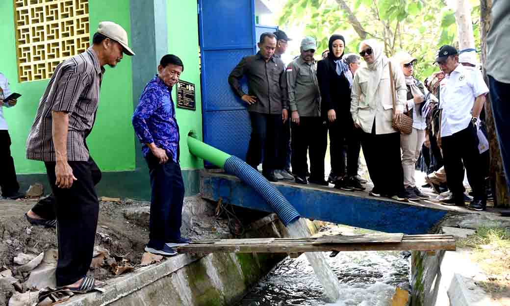 Pertanian Di Kabupaten Sidoarjo Mendapat Perhatian