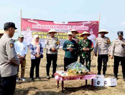 Polresta Sidoarjo dan Desa Binaan Wujudkan Ketahanan Pangan Nasional