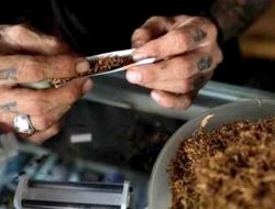 Warga Ramai-Ramai Pindah Ke Rokok Murah, Ini Respons Bea Cukai