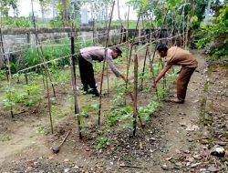 Bhabinkamtibmas Desa Songgowareng Galakkan Penanaman Tanaman Pangan Bergizi untuk Ketahanan Pangan Nasional