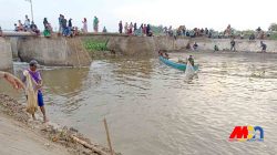 Di Balik Luapan Sungai Bengawan Solo, Warga Kadungrejo Dapat Rezeki Ikan Melimpah Mdn