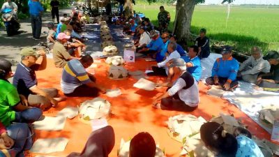 Gapoktan Kebaron Makmur Gelar Tasyakuran Tutup Tanam Padi