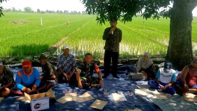 Gapoktan Kebaron Makmur Gelar Tasyakuran Tutup Tanam Padi 2