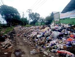 Sampah Menggunung di TPS Pemalang, Pemkab Beri Penjelasan!