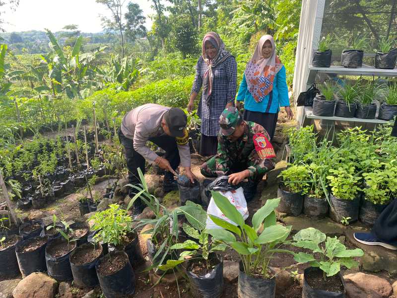 Img 20241205 Wa0023 1