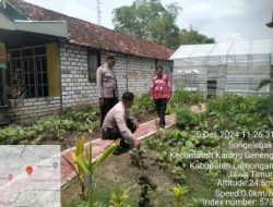 Kapolsek Karanggeneng Tinjau Desa Sungelebak Sebagai Desa Percontohan Program Pekarangan Pangan Bergizi (PPB)