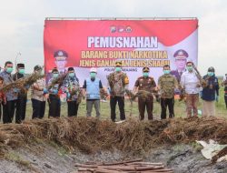 Pj. Bupati Lumajang Apresiasi Polisi yang Berhasil Berhasil Ungkap Lahan Ganja Terbesar di Pulau Jawa