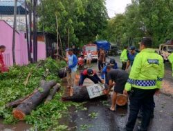 Polres Lamongan Gerak Cepat Tangani Pohon Tumbang Antisipasi Kemacetan Lalu Lintas