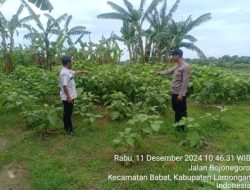 Monitoring Program Ketahanan Pangan di Kelurahan Banaran Kecamatan Babat