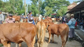 Img 20241231 Wa0045 Copy 289x163