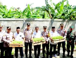 Kapolres Lamongan Laksanakan Pemanfaatan Pekarangan Pangan Bergizi (P2B) dan Serahkan Bantuan Bibit Guna Dukung Ketahanan Pangan Nasional