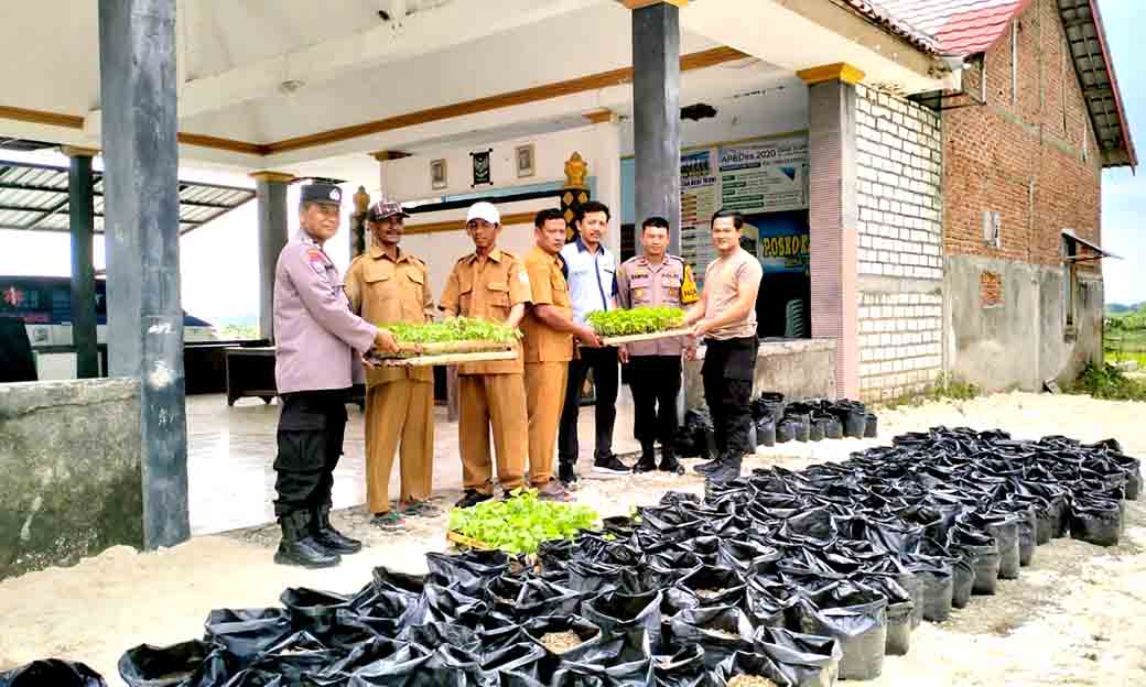 Kapolsek Babat Memberikan Bantuan Bibit Holtikultura Di Desa Truni Dalam Rangka Ketahanan Pangan