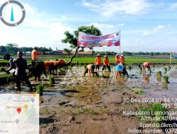 Kapolsek dan Danramil Kembang Bahu: Bersinergi untuk Ketahanan Pangan dengan Sosialisasi Tanam Padi