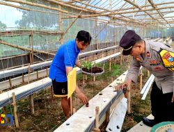 Mendukung Program Asta Cita Presiden Prabowo Subianto Kapolsek Laren Laksanakan Patroli Sambang Kelompok Tani Hidroponik