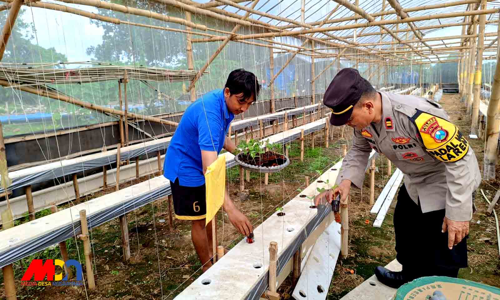 Mendukung Program Asta Cita Presiden Prabowo Subianto Kapolsek Laren Laksanakan Patroli Sambang Kelompok Tani Hidroponik Mdn