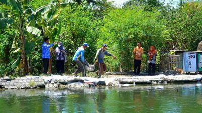 Perumda Delta Tirta Sidoarjo 3