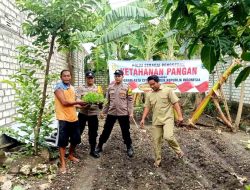 Polsek Sekaran Laksanakan Giat Penanaman Bibit Lombok Dalam Rangka Meningkatkan Ketahanan Pangan Nasional