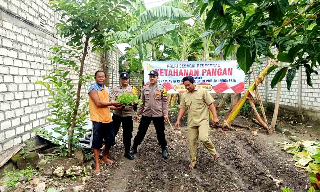 Polsek Sekaran Laksanakan Giat Penanaman Bibit Lombok Dalam Rangka Meningkatkan Ketahanan Pangan Nasional