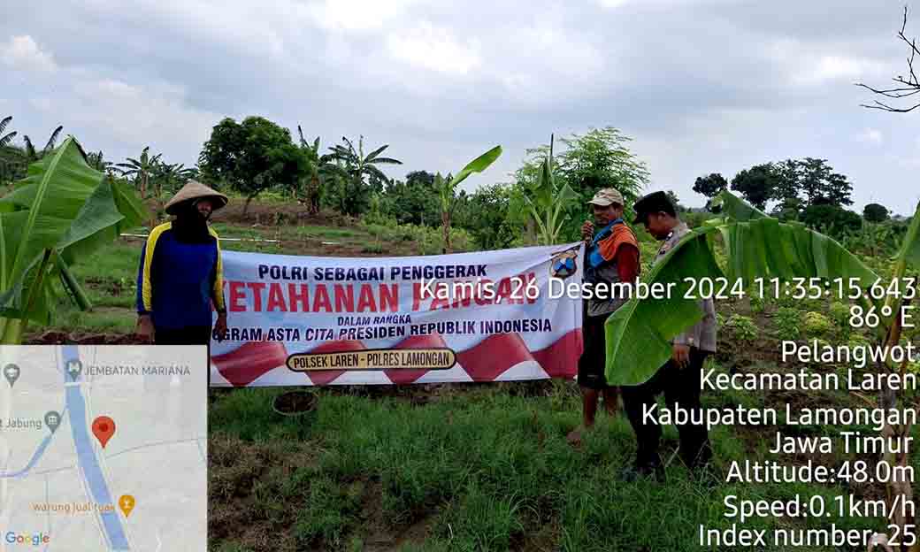 Untitled (7)guna Mendukung Ketahanan Pangan Anggota Polsek Laren Melaksanakan Pemeliharaan Tanaman Pangan Bersama Warga
