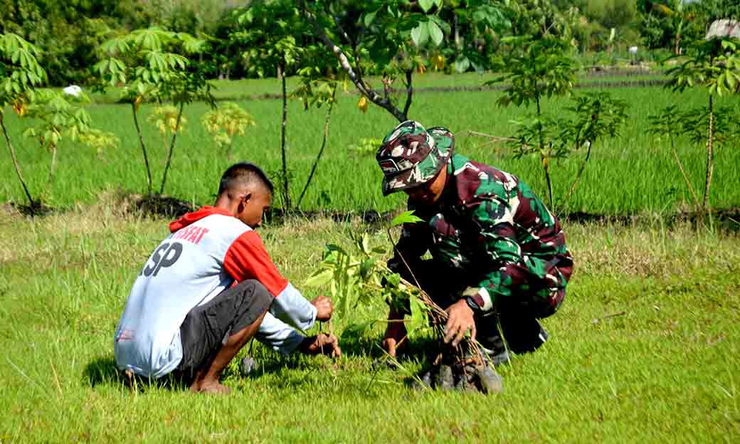 Yonarmed 12 Kostrad Bersama Warga Desa Pangkur Tanam 1000 Pohon Sukun Untuk Kelestarian Lingkungan