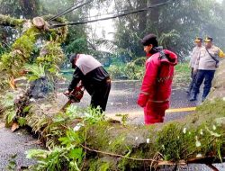 Akses Jalur Medan-Brastagi Terputus, TNI-Polri Bersinergi Lakukan Evakuasi