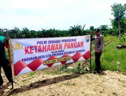 Anggota Polsek Laren Monitoring Ketahanan Pangan Bergizi di Desa Pengotan