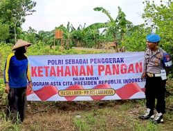 Anggota Polsek Laren Rutin Memonitoring Pekarangan Pangan Bergizi di Desa Pelangwot Kecamatan Laren