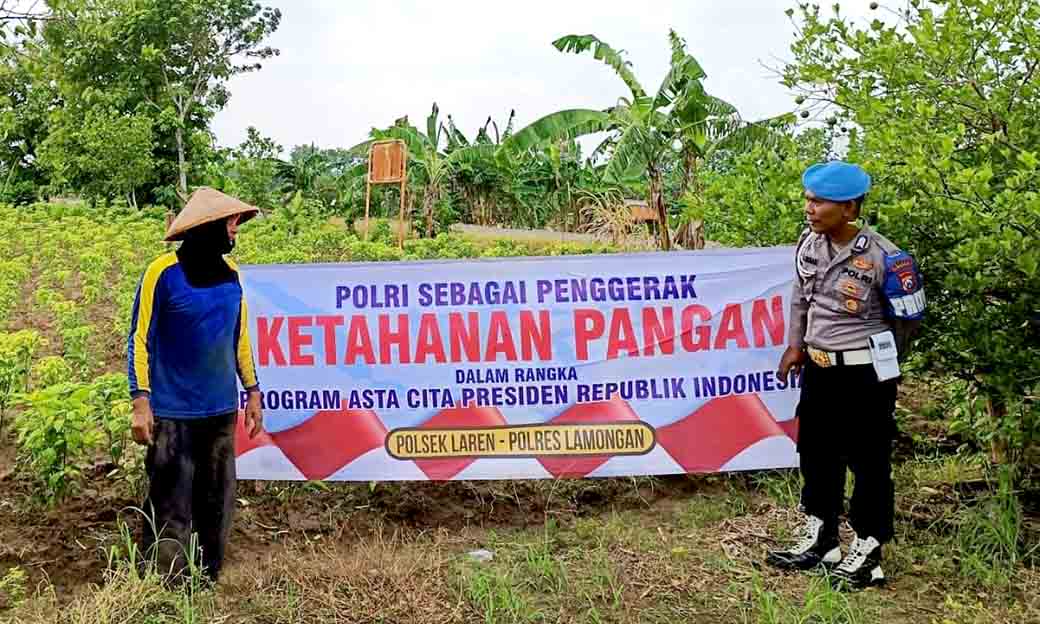 Anggota Polsek Laren Rutin Memonitoring Pekarangan Pangan Bergizi Di Desa Pelangwot Kecamatan Laren
