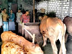 Antisipasi Penyakit Mulut dan Kaki Anggota Polsek Babat Patroli Dialogis Dengan Warga Gendongkulon