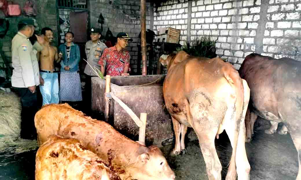 Antisipasi Penyakit Mulut Dan Kaki Anggota Polsek Babat Patroli Dialogis Dengan Warga Gendongkulon