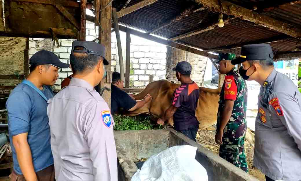 Antisipasi Penyebaran Penyakit Mulut Dan Kuku (pmk) Hewan Ternak Di Wilayah Hukum Polsek Babat