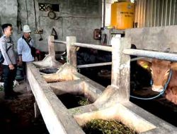 Bhabinkamtibmas Briptu Rizal Memberikan Himbauan Kepada Pemilik Ternak Terkait Penyakit Mulut dan Kuku (PMK)