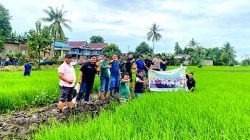 Dpc Pemuda Tani Indonesia Dan Dinas Pertanian Serta Perikanan Takalar Kolaborasi Lepas Perdana Bibit Ikan Nila Untuk Ketahanan Pangan