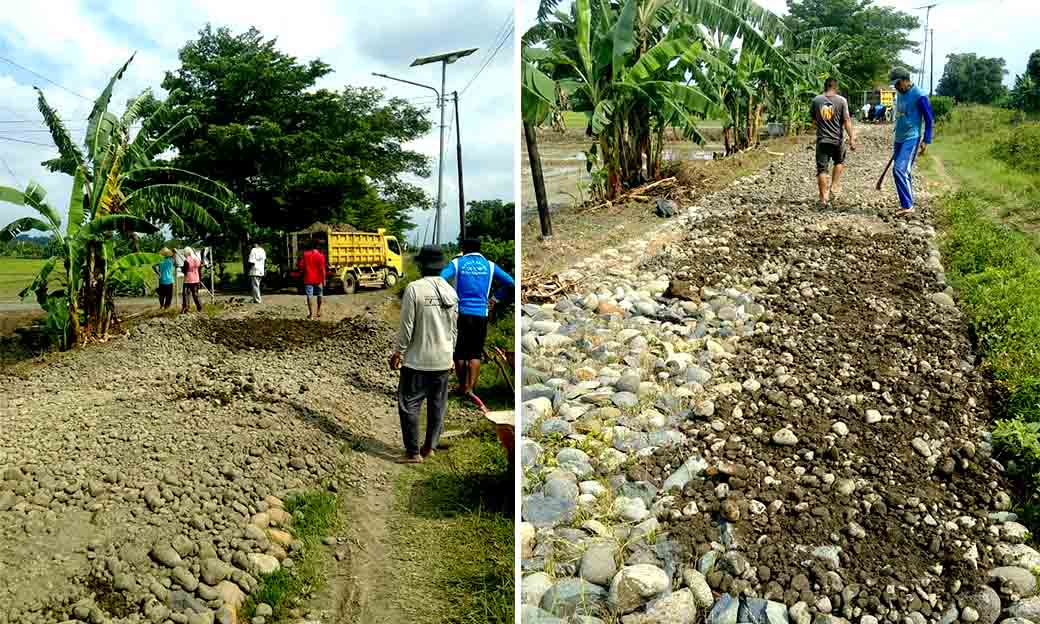 Dugaan Indikasi Korupsi Pada Proyek Pembangunan Sarana Dan Prasarana Desa, Di Desa Tegalsari Barat Kecamatan Ampelgading 1