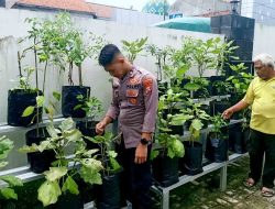 Giat Monitoring P2B di Lahan Pekarangan Mako Polsek Babat Dalam Upaya Dukung Swasembada Pangan