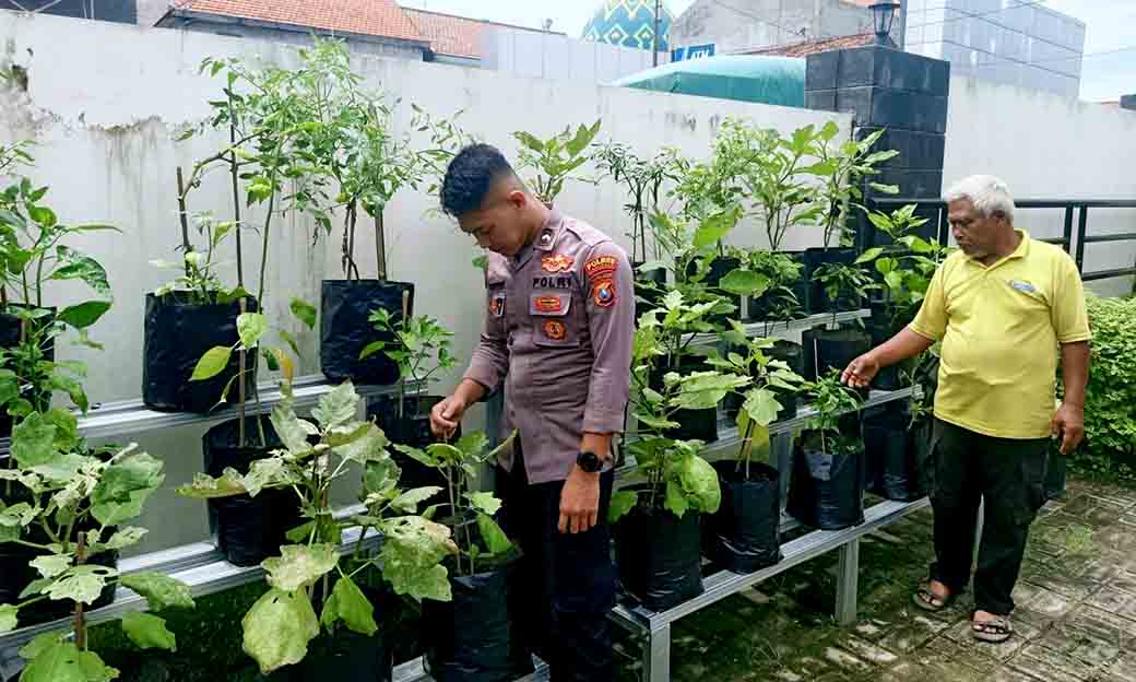 Giat Monitoring P2b Di Lahan Pekarangan Mako Polsek Babat