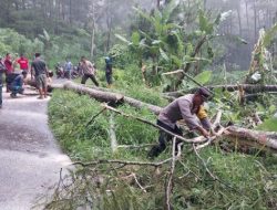 Sigap, Polisi bersama Warga Tangani Longsor di Ponorogo, Jalur Ngrayun-Jajar Kembali Lancar