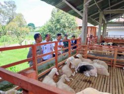 Upaya mendukung program pemerintah ketahanan pangan nasional, Polsek Ngadiluwih melalui pengembangan peternakan kambing