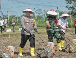 Kapolda Jatim dan Pj.Gubernur Tanam Jagung Serentak 1 Juta Hektar di Blitar Untuk Ketahanan Pangan Nasional