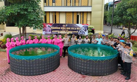 Img 20250130 Wa0034 Copy 2160x1296 1