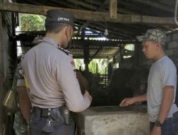 Cegah Penyakit Mulut dan Kuku Pada Hewan Ternak Polsek Laren Melakukan Sosialisasi Serta Monitoring
