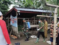 Cegah Penyebaran Virus PMK di Ngawi, Bhabinkamtibmas Gerih Lakukan Penyemprotan