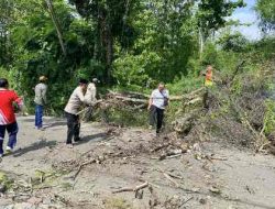 Kapolsek Laren Bersama Anggota Evakuasi Pohon Kering Yang Tumbang Di Jalan Raya