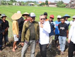 Menteri Koordinator Bidang Pangan RI Zulkifli Hasan Kunjungi Petani Sidoarjo, Tampung Keluh Kesah dan Beri Semangat