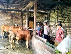 Polsek Babat Lakukan Patroli Antisipasi Penyebaran Penyakit Mulut dan Kaki (PMK) Pada Hewan Ternak di Desa Kuripan Kecamatan Babat