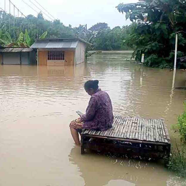 Seekor Sapi Bunting Milik Warga Papungan Hilang Terseret Arus Banjir Bengawan Solo 2