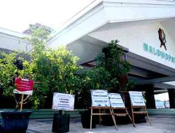 Ucapan Selamat Unik: Pohon Hidup Hiasi Halaman Pendopo Malowopati