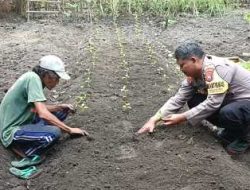 Wujudkan Ketahanan Pangan, Bhabinkamtibmas Polres Nganjuk Ajak Warga Manfaatkan Lahan Sela