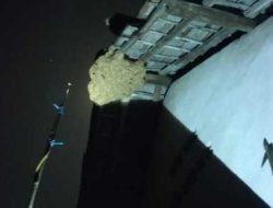 Damkar Eksekusi Sarang Tawon di Rumah Warga Ngadiluwih yg berdekatan dengan mushola