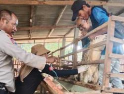 Polsek Ringinrejo Kawal Vaksinasi PMK di Desa Deyeng